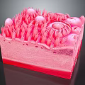 Head Organ 3D Rendered Cross Section Model with Hair Follicles and Skin Layers