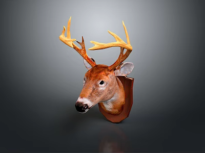 Taxidermy Deer Head Mount With Golden Antlers On Brown Plaque Dark Background 3d model