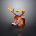 Taxidermy Deer Head Mount With Golden Antlers On Brown Plaque Dark Background