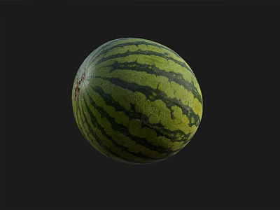 Modern Watermelon 3d model