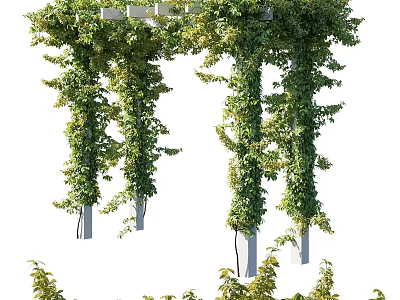 Green Vine Covered Garden Pergola With Arch Structure And Lush Foliage 3d model