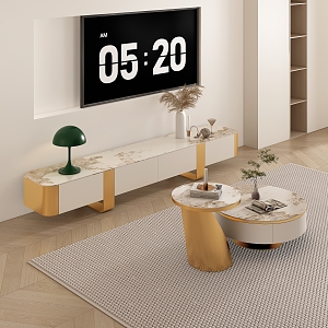 Light Luxury Coffee Table TV Cabinet Combination 3d model