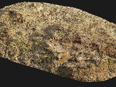Natural Textured Ground With Grass And Dirt 3d model