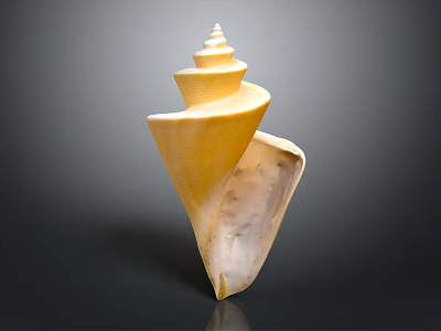 Shiny Yellow Spiral Conch As Marine Animal With Smooth Texture On Dark Background 3d model