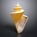 Shiny Yellow Spiral Conch As Marine Animal With Smooth Texture On Dark Background