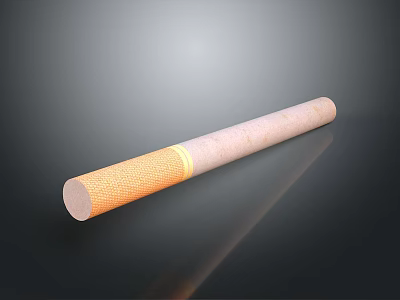 Single Cigarette With White Body Orange Filter Tip And Smooth Surface Texture 3d model