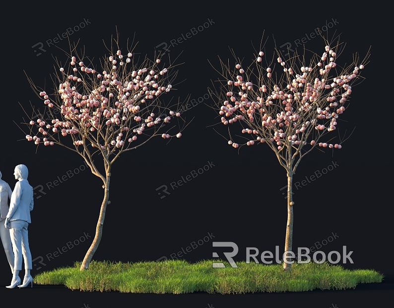 Peach Fruit Tree Farm Orchard Rural Cultural Tourism Landscape model