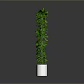 Tall Green Plant in White Pot with Gray Gradient Background