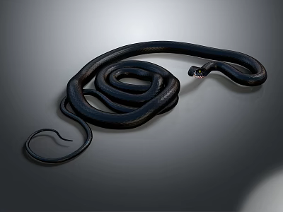 Realistic Black Snake Coiled With Raised Head On Gray Gradient Background 3d model