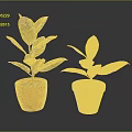 Two Potted Plants In Orange And Red Terracotta Pots With Green Red Edged Leaves
