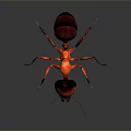 Realistic Red Ant 3D Render With Detailed Head Body And Long Legs