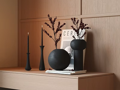 Elegant Black Decorative Ornament Set with Vases Candle Holders Dried Flowers Magazine on Wooden Shelf 3d model