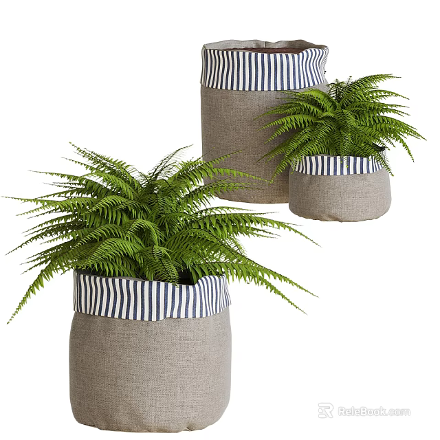 Burlap Vases With Blue And White Striped Edges Holding Green Fern Plants 3d model 
