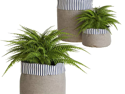 Burlap Vases With Blue And White Striped Edges Holding Green Fern Plants 3d model