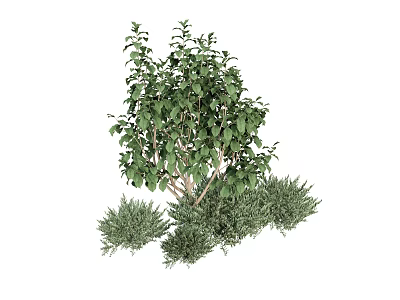 plant haystack green plant pool plant combination potted combination 3d model