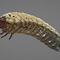 Yellow Caterpillar With Segmented Body Dark Brown Head And Multiple Legs On Gray Background