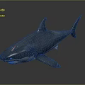 Detailed Blue Shark With Red Markings On Body Against Gray Background