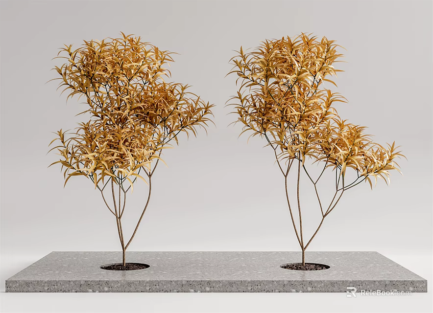 Two Golden Leaf Trees Planted on Gray Stone Slab with White Background 3d model