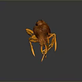3D Rendered Orange Ants Interacting On Dark Background With Detailed Texture And Reflection