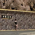 Woman Standing By Stone Wall With Love Power Sign And Cherry Blossom Trees