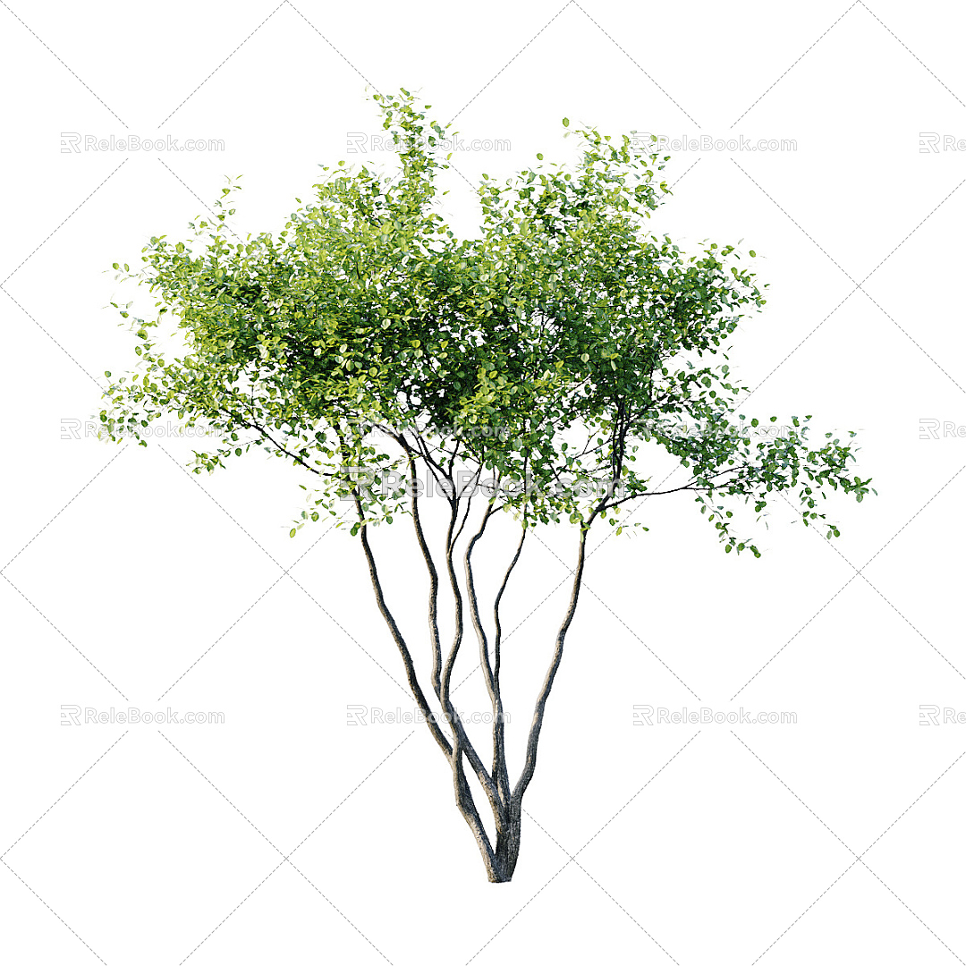 Modern Tree Landscape Tree Street Tree 3d model