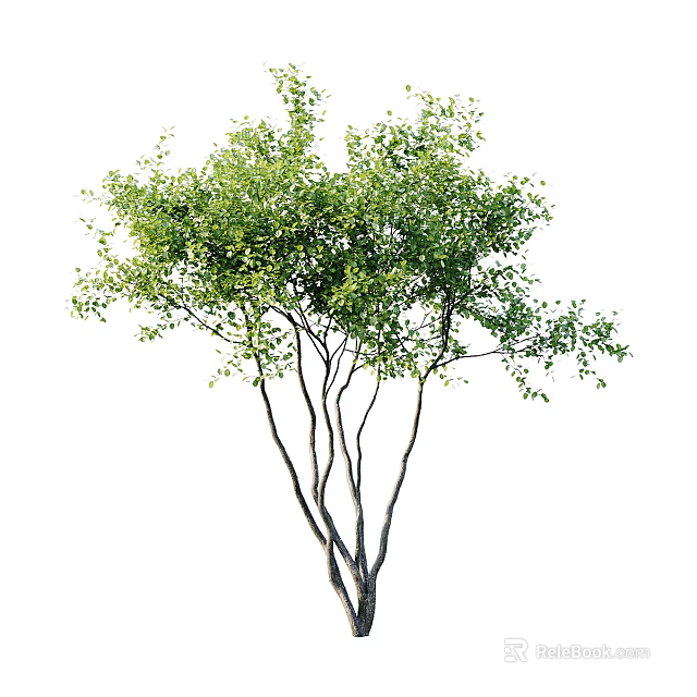 Lush Arbor With Green Leaves And Multiple Branches In Natural Growth Form 3d model 