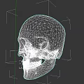 White Human Skull Model With Detailed Facial Features On Black Background