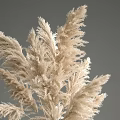 Minimalist Beige Pampas Grass in Amber Glass Vase for Modern Interior Decor