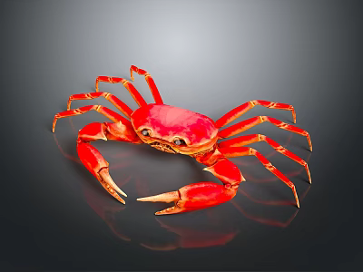 Vibrant Red Crab Aquatic Creature with Detailed Claws on Dark Background 3d model