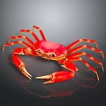 Vibrant Red Crab Aquatic Creature with Detailed Claws on Dark Background