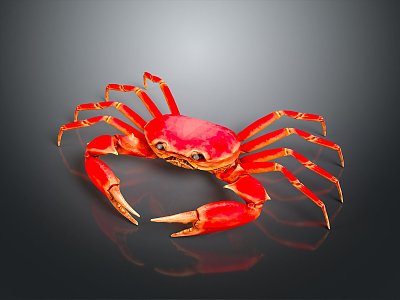 Modern Crab Sea Crab River Crab Hairy Crab 3d model