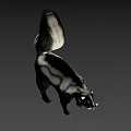 Game And Movie Skunk Character With Black White Fur And Fluffy Tail Standing Pose