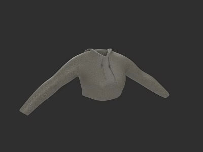 Gray Cropped Knit Top With Long Sleeves And Zip Closure 3d model