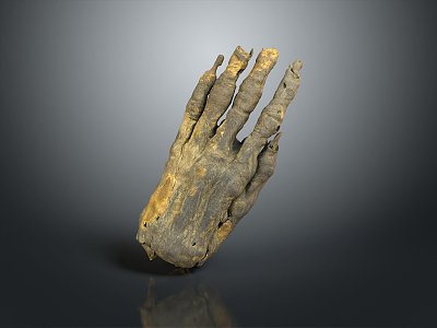 hand wooden hand 3d model