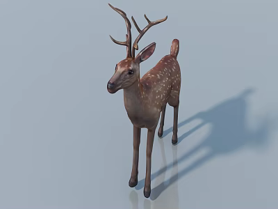 Realistic 3D Model of Brown Spotted Deer with Antlers on Blue Background 3d model