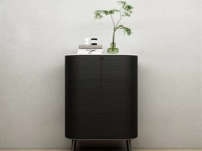 Modern Black Sideboard with Wood Grain Texture Metal Legs Green Vase Plant and Books 3d model