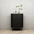 Modern Black Sideboard with Wood Grain Texture Metal Legs Green Vase Plant and Books