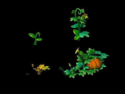 Pumpkin Growing Stages From Seedling To Ripe Fruit With Green Vines And Leaves 3d model