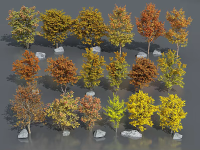 Colorful Trees Featuring Various Leaf Colors Yellow Orange Red Green And Small Stones Below 3d model