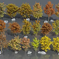 Colorful Trees Featuring Various Leaf Colors Yellow Orange Red Green And Small Stones Below