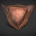 Modern hat triangle pirate hat 3d model