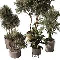 Modern Decorative Ornament Set with Various Potted Plants and Stylish Planters