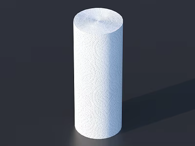 White Cylindrical Textured Household Paper Roll with Soft Surface for Daily Use 3d model
