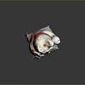 Lucky Cat Ornament Decoration With White Body Red Ears Green Collar And Longevity Character Charm