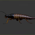 Brown and Black Cockroach With Long Antennae and Legs on Gray Background