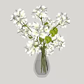 Transparent Glass Vase Holding Fresh White Flowers And Green Leaves