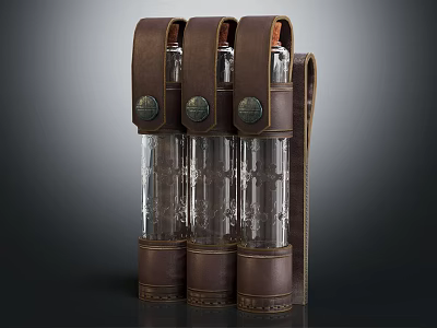 Brown Leather Wrapped Storage Container Set With Three Glass Bottles And Metal Clasps 3d model