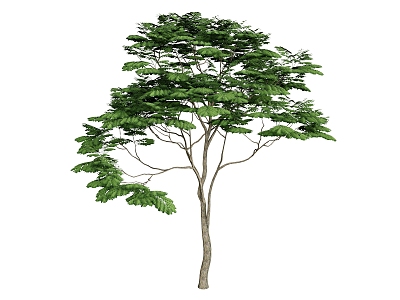 trees plants greenery 3d model