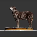 Brown and white spotted Dog standing on circular platform with gear and clock patterns 3d model