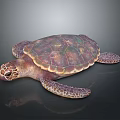 Detailed Iridescent Sea Turtle With Patterned Shell And Flippers On Black Surface